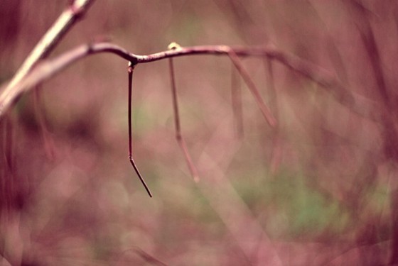 Pictures: 4