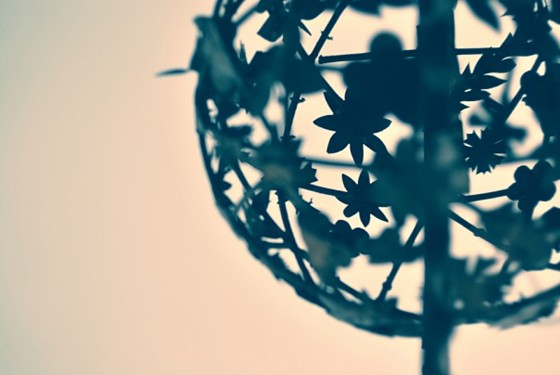 Pictures: 4